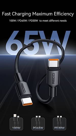 RECCI RS46CC - PD65W Fast Charging Type-C to Type-C Data Cable 1.2M - Black